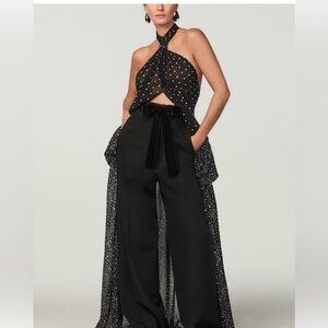 Zara x Stefano Pilati Wool Wide Leg Pants. Size L. NWT